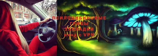 ПСИЛОЦИБИНОВЫЕ ГРИБЫ Бронницы