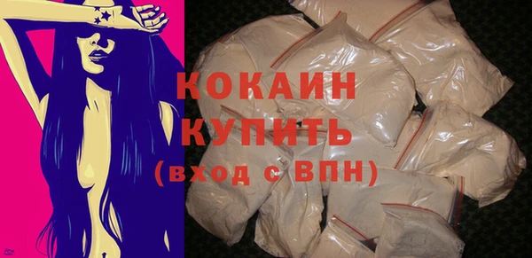 прущие грибы Ступино