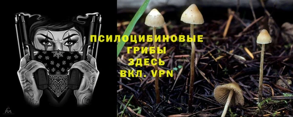 герыч Бородино