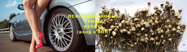 герыч Бородино