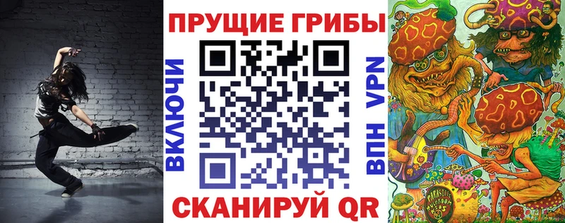 Купить где  Самара  Псилоцибиновые грибы Psilocybe 